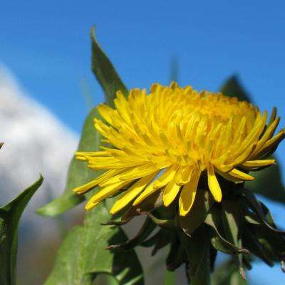 江南官方网站下载