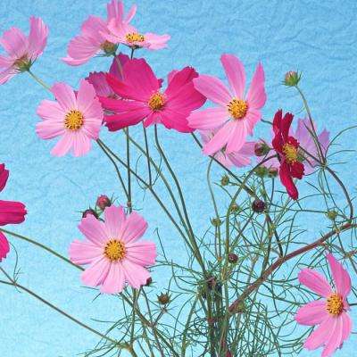 凯发K8旗舰厅App下载