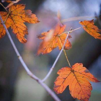 博鱼APP综合体育