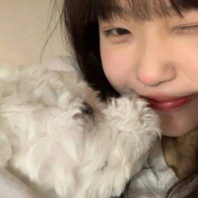 大四喜下载手机版